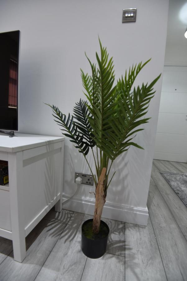 Cozy! 2-Bedroom Exclusive Apartment Near Bristol City Centre Easton Speedwell Sleeps Upto 6 Ngoại thất bức ảnh